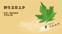 艾草越嫩越好，還是越久越好？悄悄告訴你：艾草這樣用，效果最好！