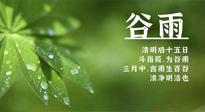 【二十四節(jié)氣灸】谷雨時節(jié)，用艾為您的健康加上一道保險！