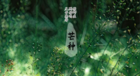 【二十四節(jié)氣灸】芒種節(jié)氣，培土補脾、養(yǎng)陰生津！艾灸這些穴位事半功倍！