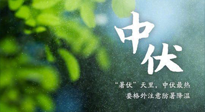 【三伏養(yǎng)生】至熱中伏，吃三樣，喝三樣，三大禁忌千萬別犯，小心落下病根！