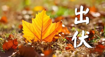 【三伏養(yǎng)生】出伏后做好養(yǎng)生很關(guān)鍵！一行要注意！
