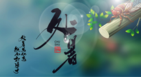 【二十四節(jié)氣灸】處暑艾灸，排夏季余毒，健康迎秋冬！