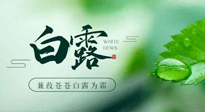 【二十四節(jié)氣灸】白露涼爽，養(yǎng)心肝脾胃、滋陰潤肺是關(guān)鍵！