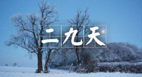 【三九養(yǎng)生】冬二九，扶陽(yáng)補(bǔ)腎氣，讓你陽(yáng)氣充足一整年！