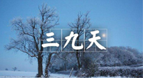 【三九養(yǎng)生】冬三九，三九第三灸，一年中最后艾灸黃金9天！