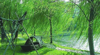 【養(yǎng)生知識】元宵入六九，春季已至，六九天的養(yǎng)生知識你知道多少？
