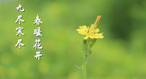 【九九養(yǎng)生】三月四日“九九日”，寒冬已過。春天養(yǎng)好身，全年不怕病！