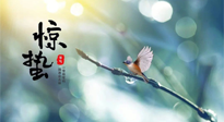 【二十四節(jié)氣灸】驚蟄節(jié)氣，艾灸喚醒抵抗力、補充陽氣的最好時機！