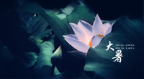 【二十四節(jié)氣灸】趁大暑好好艾灸，才不辜負三伏天的驕陽！