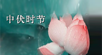 【艾灸三伏天】中伏：三伏灸的關(guān)鍵轉(zhuǎn)折點！“灸”除病根的大好時機！