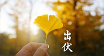 【艾灸三伏天】出伏啦！三防三宜兩穴位，防止身體“秋后算賬”！