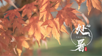 【二十四節(jié)氣灸】處暑，冬病夏治倒計(jì)時(shí)！秋涼真的要來了！