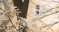 【二十四節(jié)氣灸】霜降節(jié)氣：艾灸四穴，護(hù)您冬天安然無恙！