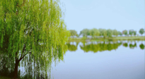 【艾灸知識(shí)】春三月，必艾灸穴位：疏肝理氣，養(yǎng)血調(diào)神！