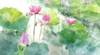 【養(yǎng)生知識】花開半夏，夏至養(yǎng)生，這些知識一定要牢記！