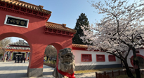 【行業(yè)資訊】新華財經(jīng)：守正創(chuàng)新，中醫(yī)藥品牌化發(fā)展“更上一層樓”！