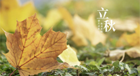 【節(jié)氣養(yǎng)生】甲辰立秋，“2做”、“2不做”，護(hù)好我們身體的正氣，預(yù)防外邪的侵襲！