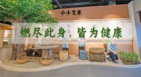 【艾草知識】小小艾草，渾身是寶，一生燃盡此身，皆為健康！